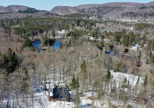 House for sale - 196 Ch. de la Montagne, St-Remi-D'Amherst, J0T 2L0