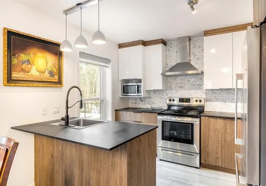 House for sale - 4040 Rue de l'Hôtel-de-Ville, Cap-De-La-Madeleine, G0X 3J0