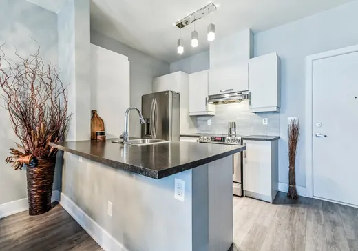 Condo à vendre - 1475 Rue Gaston-Véronneau , Longueuil, J4N 0H2