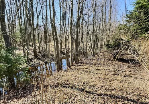 Maison à vendre - 405 Rue Moreau, Drummondville, J2A 1W2