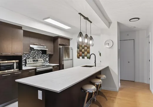 Condo à vendre - 2305 Rue Remembrance, App. 313, Montréal (Lachine), H8S 0A9