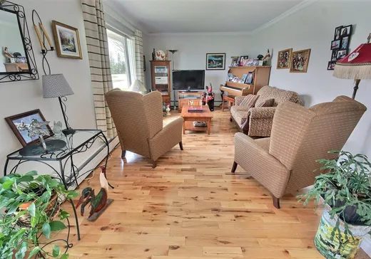 Maison à vendre - 693 Rue Maheux, Black-Lake, G6H 1S7