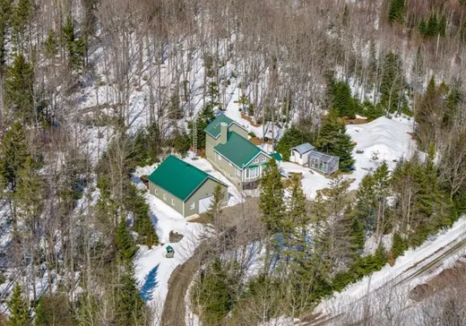 Two or more stories for sale - 53 Ch. Nancy, Notre-Dame-Des-Boies, J0B2E0