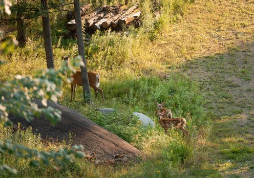 House for sale - 20 Ch. de l'Aigle, Val-des-Bois, J0X 3C0