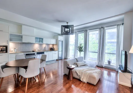 Condo for sale - 370 Rue St-André, App. 205, Montreal (Old Montreal), H2L 0C4