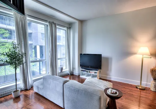 Condo for sale - 370 Rue St-André, App. 205, Montreal (Old Montreal), H2L 0C4