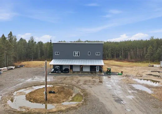 Maison à vendre - 45-55 Rue Gabriel, Saint-Lucien, J0C 1N0