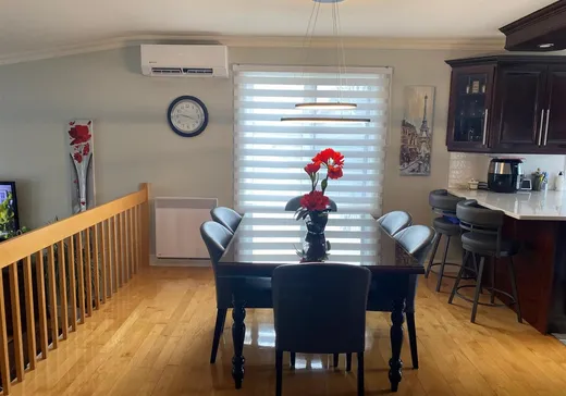 Maison à vendre - 22 Rue Lallier, Victoriaville, G6P 9L5