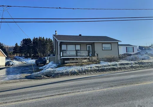 Bungalow à vendre - 34 Rue St-François-Xavier E., L'Anse-Pleureuse, G0E1K0