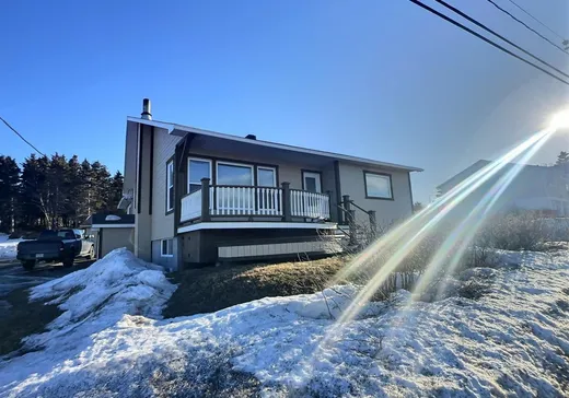 Maison à vendre - 34 Rue St-François-Xavier E., L'Anse-Pleureuse, G0E 1K0