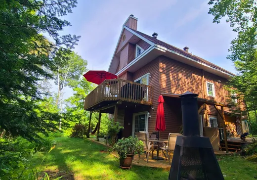 Two or more stories for sale - 1255-1257 Place des Colverts, Sainte-Agathe-des-Monts, J8B2C2