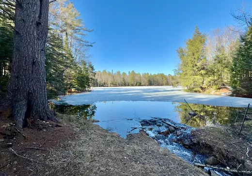 Bungalow à vendre - 296 Ch. Edina, Brownsburg-Chatham, J8G1G2