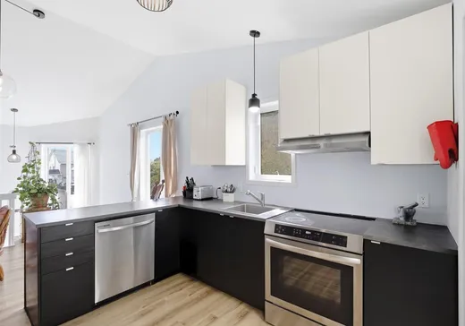 Maison à vendre - 221 Rue des Condors, Sherbrooke, J1R 0S2