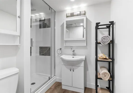 Maison à vendre - 424 Rue Armand-Chainey, Ste-Catherine-De-Hatley, J0B 1W0