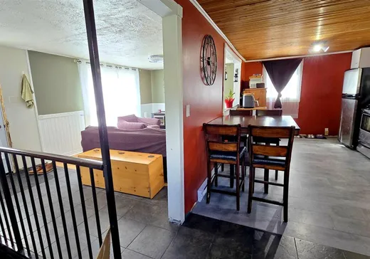 Maison à vendre - 219 Rue Ludger-Forest, Sherbrooke, J1N 3R4