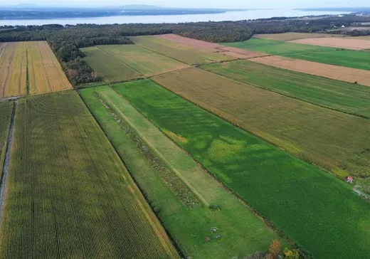 Maison à vendre - 326 Rg St-Eustache, Lotbinière, G0S 1S0