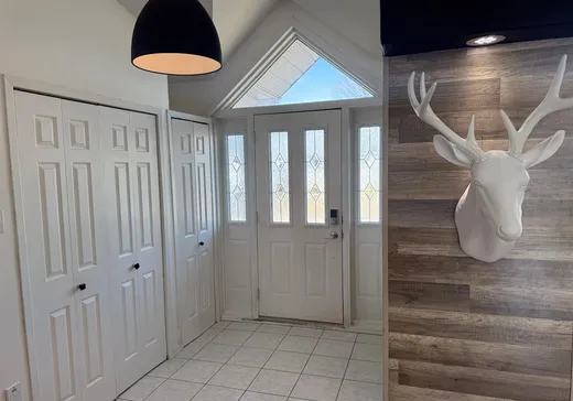 House for sale - 1361 Rue des Acajous, La Tuque, G9X 3Y3