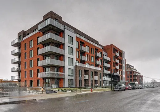 Condo à vendre - 2355 Rue des Équinoxes, App. 219, Montréal (Saint-Laurent), H4R0S2