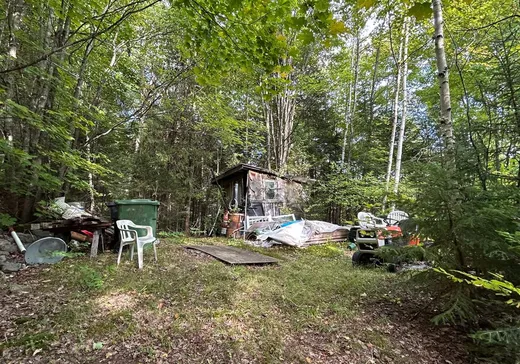 Maison à vendre - 1892 Mtée des Quatre-Lacs, St-Adolphe d'Howard, J0T 2B0