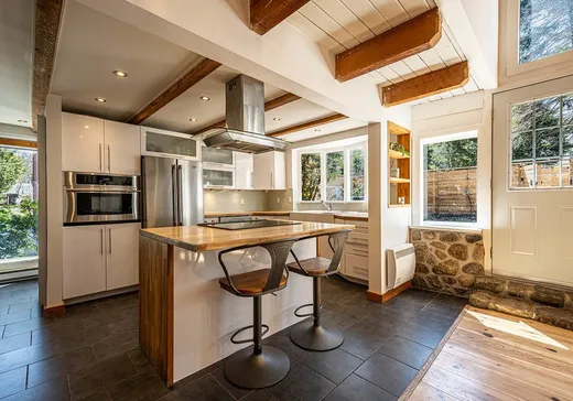 Maison à vendre - 6 Rue Alarie, Val David, J0T 2N0