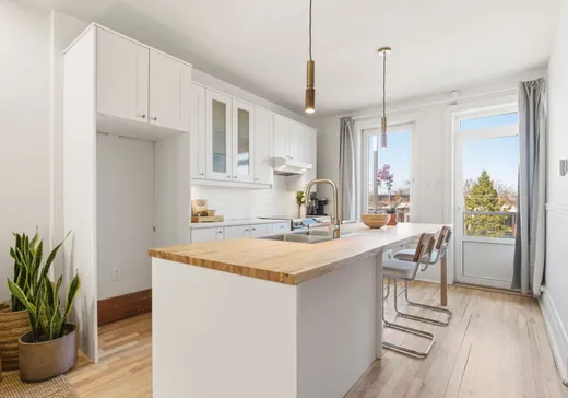 Condo for sale - 6535A Rue De Lanaudière, Montreal (Rosemont–La Petite-Patrie), H2G 3B1