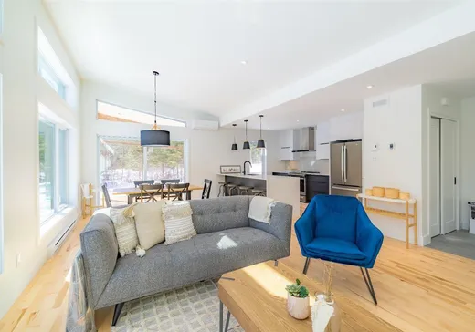 Maison à vendre - 19 Rue du Ruisseau, Notre-Dame-de-la-Merci, J0T 1A0