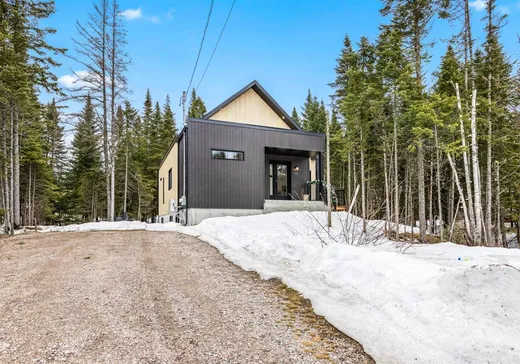 Maison à vendre - 73 Allée de la Norvège, Shannon, G3S 0Y6