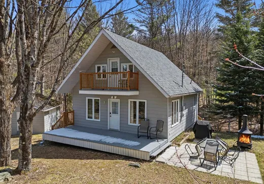 Maison à vendre - 8 Ch. de la Prairie, Mansonville, J0E 1X0