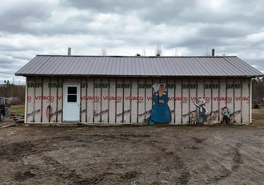 House for sale - 1567 Ch. Fontaine, Weedon, J0B 3J0