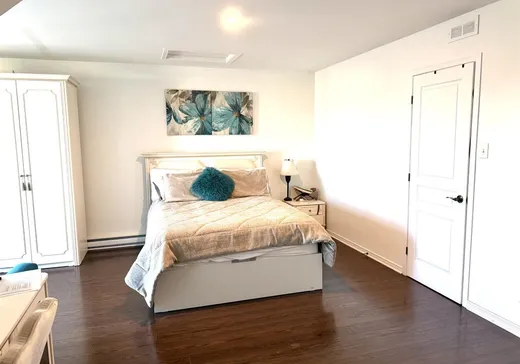 Maison à vendre - 127 Rue Riopelle, Saint-Constant, J5A 0E3