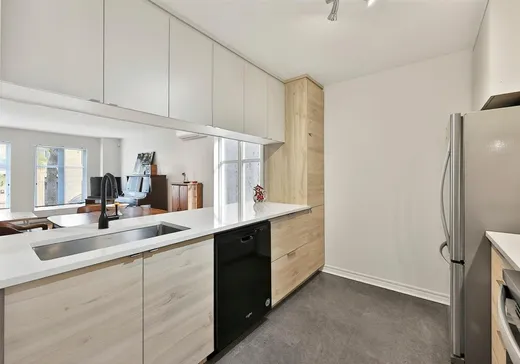 Condo à vendre - 1482 Rue Montcalm, Montréal (Centreville), H2L3G7