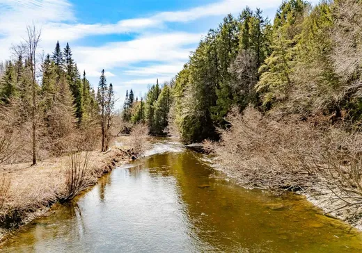 Maison à vendre - 770 Route de Mansonville, Mansonville, J0E 1X0