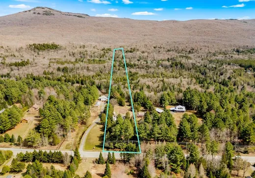 Maison à vendre - 770 Route de Mansonville, Mansonville, J0E 1X0