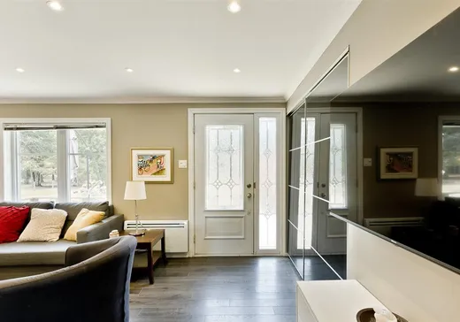 Maison à vendre - 770 Route de Mansonville, Mansonville, J0E 1X0