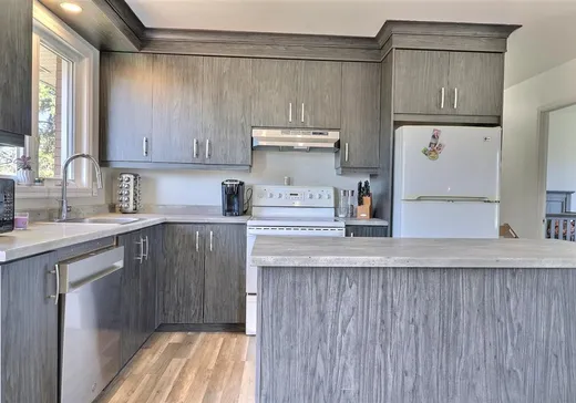 Maison à vendre - 1115 Av. des Chênes, Plessisville, G6L 2T8