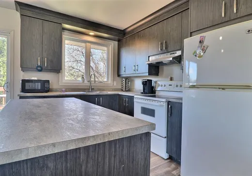 Maison à vendre - 1115 Av. des Chênes, Plessisville, G6L 2T8