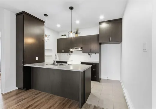 Condo for sale - 57 Rue de la Fabrique, St-Louis-De-Gonzague, J0S 1T0