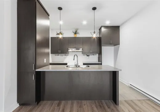 Condo for sale - 57 Rue de la Fabrique, St-Louis-De-Gonzague, J0S 1T0