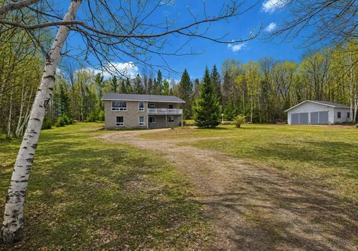 Maison à étages à vendre - 1374 Route 301, Otter Lake, J0X2P0