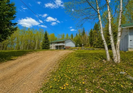 Maison à vendre - 1374 Route 301, Otter Lake, J0X 2P0