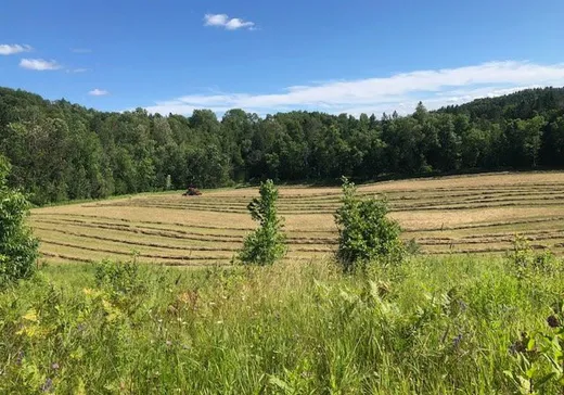 Fermette à vendre - 50 Ch. Émard, Kiamika, J0W 1G0