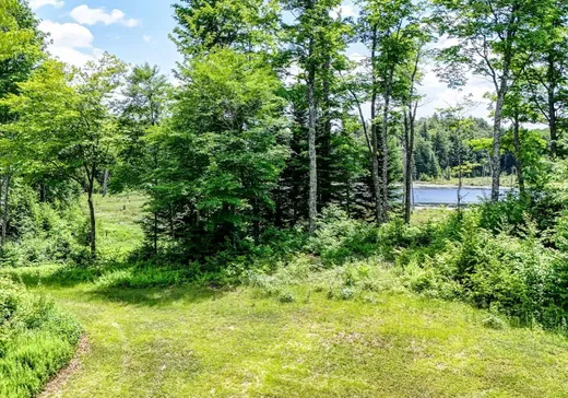 Maison à vendre - 8 Ch. des Castors, Wentworth, J8H 0A8