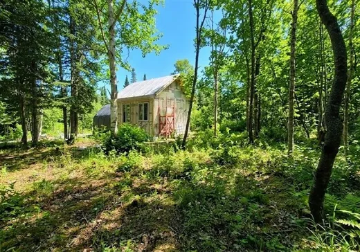 House for sale - 78 Ch. du Domaine-Évangeline, St-Damien-De-Buckland, G0R 2Y0