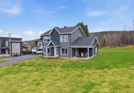 House for sale - 102 Rue Vaillant, Notre-Dame-Des-Boies, J0B 2E0