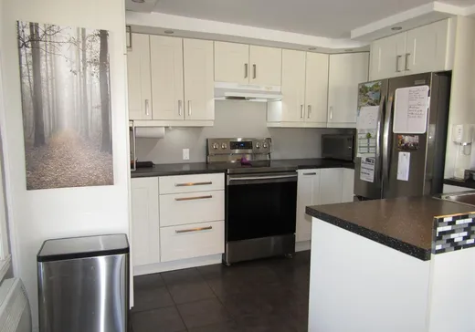 Maison à vendre - 3001 Ch. de Ste-Flore, Grand-Mere, G9T 1A4