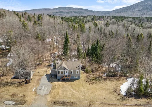 Maison à vendre - 39 Rue du Centre, Sainte-Brigitte-de-Laval, G0A 3K0