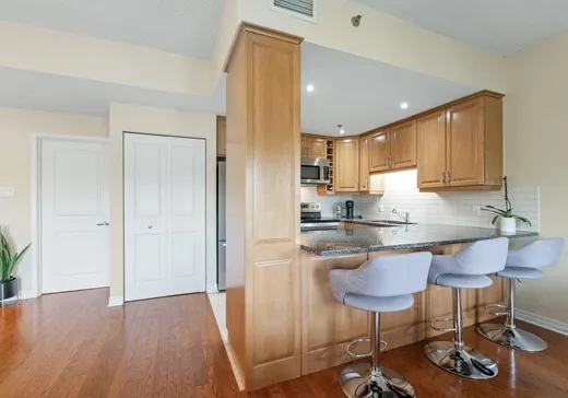 Condo for sale - 275 Ch. de la Rive-Boisée, App. 202, Montreal (Pierrefonds-Roxborro), H8Z2Y4
