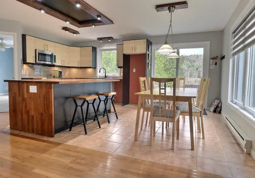 House for sale - 462 Ch. Nantel, Mont-Tremblant, J0T 1H0