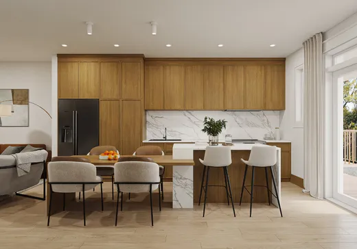 Condo à vendre - 6533 Rue De Lanaudière, Montréal (Rosemont–La Petite-Patrie), H2G 3B1