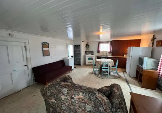 Maison à vendre - 1703 Route 277, Lac-Etchemin, G0R 1S0
